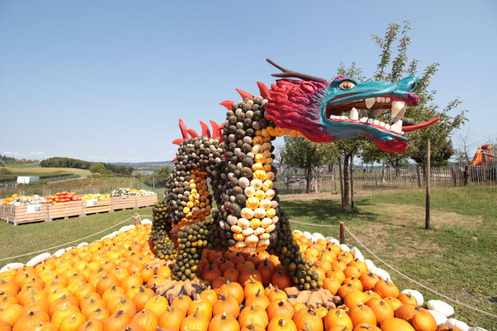 Kürbisfigur Juckerhof Drache Kürbisfigur Juckerhof Drache